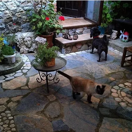 Sigacik Kaleici Tas Ev Casa vacanze